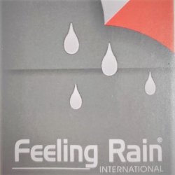 Feeling Rain