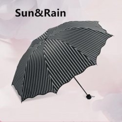 Sun Rain